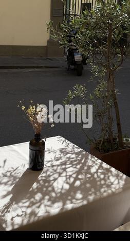 Vase décoratif avec des fleurs séchées projetant des ombres complexes sur une table. La lumière du soleil crée une atmosphère calme tandis qu'un arbre et une moto fournissent le contexte Banque D'Images