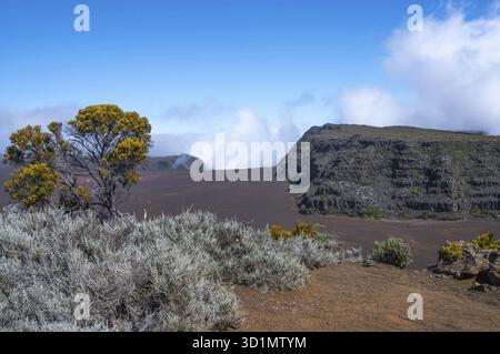 Vue depuis le pas de Bellecombe sur la route du volcan de la caldeira de l'enclos Fouque avec un sol volcanique rouille et des champs de lave noire, entouré de silve Banque D'Images
