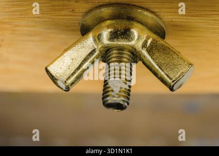 Ecrou en laiton - fixation de meubles vintage avec copyspace, macro-shot Banque D'Images