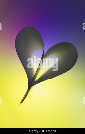 Papier rétro-éclairé plié en forme de coeur abstrait suitabe comme papier peint. Faible profondeur de champ Banque D'Images