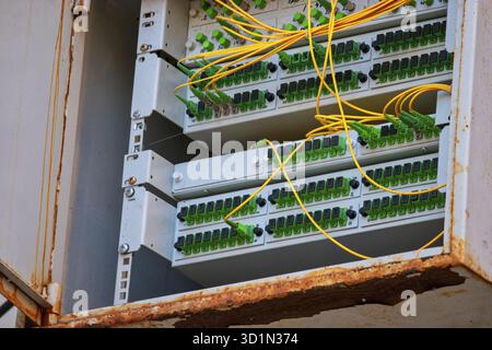 Boîtier ouvert avec panneaux de raccordement avec de nombreux cordons de fibre optique connectés dans Banque D'Images