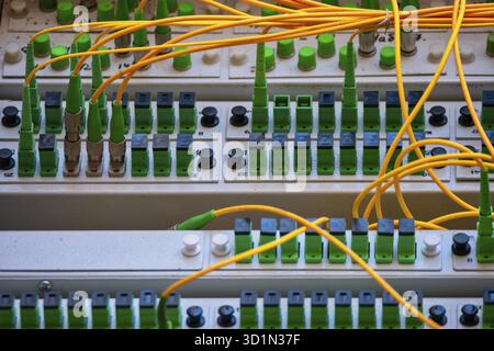 Panneau de raccordement à fibre optique ouvert avec certains cordons de raccordement connectés Banque D'Images