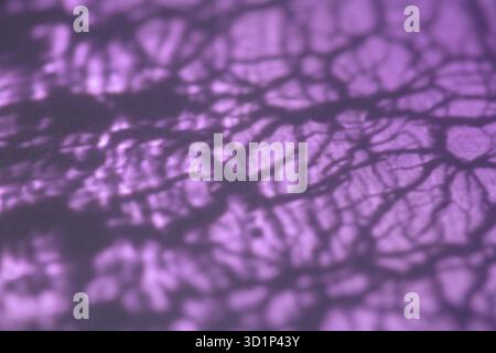 Bokeh flou abstrait violet illumine la structure fractale de fond Banque D'Images