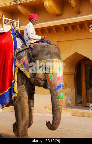 Mahout Riding a décoré éléphant à l'intérieur de Jaleb Chowk (cour principale) de Fort Amber, Rajasthan, Inde Banque D'Images