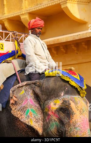 Mahout Riding a décoré éléphant à l'intérieur de Jaleb Chowk (cour principale) de Fort Amber, Rajasthan, Inde Banque D'Images