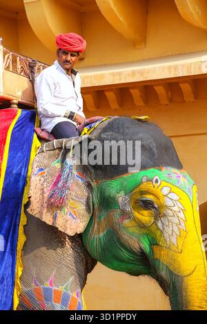 Mahout Riding a décoré éléphant à l'intérieur de Jaleb Chowk (cour principale) de Fort Amber, Rajasthan, Inde Banque D'Images