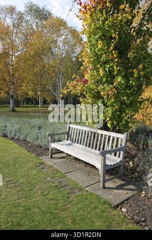 Banc de jardin en jardin botanique de Cambridge Banque D'Images