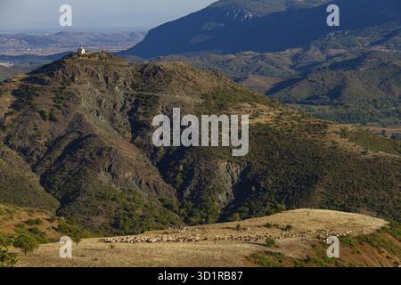 Vue panoramique de bergers et de moutons et chèvres sur un plateau avec église sur la colline lointaine en zone de montagne dans la région de Thessalie, Grèce Banque D'Images