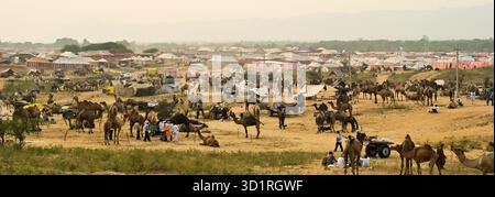 Pushkar, Inde. 27 octobre 2025. Foire annuelle de chameau à Pushkar, montre des milliers de commerçants de bétail de toute la région se rassemblant à la foire traditionnelle de chameau, où des animaux - principalement des chameaux - sont achetés et vendus. L'événement annuel est l'une des plus grandes foires de chameaux et de bétail au monde. Pushkar, Inde, le 27 octobre 2025. (Photo de Shaukat Ahmed/Pacific Press/Sipa USA) crédit : Sipa USA/Alamy Live News Banque D'Images