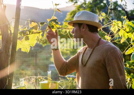 Vue latérale du beau jeune homme en chapeau toching feuilles de vigne dans la lumière du soleil dans le jardin Banque D'Images