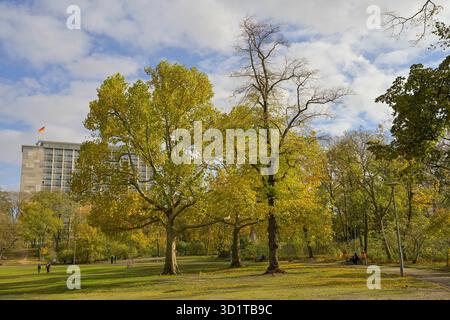 Herbst im Preußenpark, Wilmersdorf, Berlin, Allemagne Banque D'Images