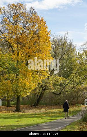 Herbst im Preußenpark, Wilmersdorf, Berlin, Allemagne Banque D'Images