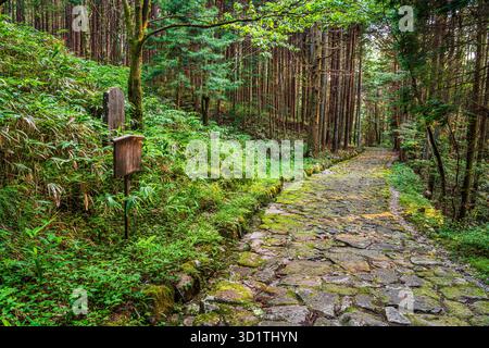 Nakatsugawa, Japon le long de l'historique chemin pavé d'Ochiai, qui fait partie de l'ancien sentier Nakasendo. Banque D'Images