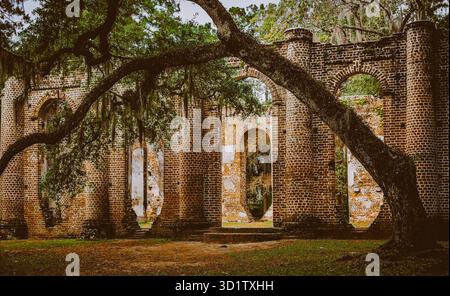 Vue complète sur les ruines de l'église Old Sheldon, colonnes de briques et fenêtres cintrées, grand chêne avec une branche tentaculaire au premier plan, mousse espagnole suspendue Banque D'Images