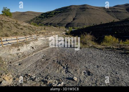 Traces de dinosaures, site de Valdecevillo, Enciso, la Rioja , Espagne, Europe Banque D'Images