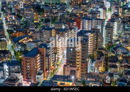 Tokyo, Japon quartier financier paysage urbain de la région de Setagaya la nuit. Banque D'Images