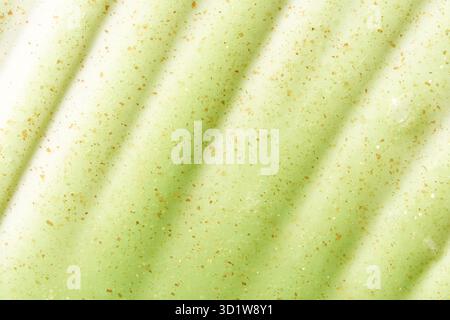 Fond de produit cosmétique. Texture de gommage verte. EMULSION nettoyante pour le visage. Gel Banque D'Images