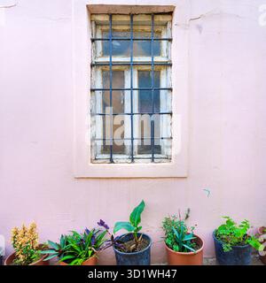 Bakou, Azerbaïdjan. 10 octobre 2025. pots de fleurs sous une vieille fenêtre Banque D'Images