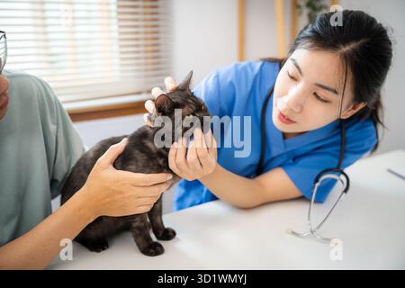 Vétérinaire professionnel aide le chat. chat propriétaire tenant l'animal sur les mains. Chat sur la table d'examen de la clinique vétérinaire. Vétérinaire c Banque D'Images