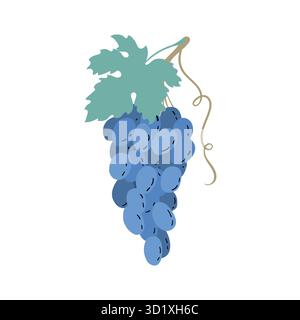 Vin de raisins bleus ramifiés. Raisin dessiné à la main isolé sur fond blanc. pour le tissu, les étiquettes de dessin, l'impression, le papier peint de la chambre des enfants Illustration de Vecteur
