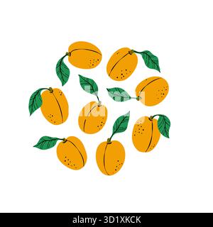 Ensemble de tranches d'abricot orange et de pêche. Abricot dessiné à la main avec des feuilles isolées sur fond blanc. pour tissu, étiquettes de dessin, impression, papier peint Illustration de Vecteur