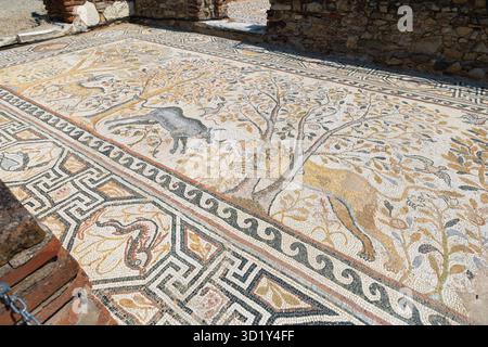 Mosaïque à Heraclea Lyncestis - ancienne ville grecque en Macédoine Banque D'Images