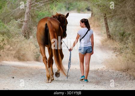 Itinéraires d'équitation Banque D'Images