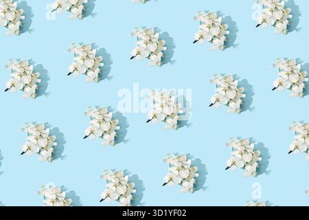 Motif floral pommier. Fond lumineux d'été. Fleurs de fruits blancs printanières. Répéter la texture du ressort. Composition de tendance créative. Beaucoup de printemps el Banque D'Images