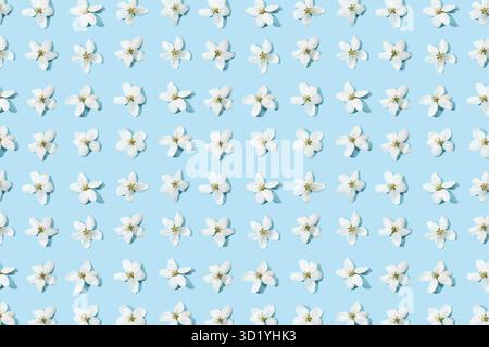 Motif floral pommier. Fond lumineux d'été. Fleurs de fruits blancs printanières. Répéter la texture du ressort. Composition de tendance créative. Beaucoup de printemps el Banque D'Images