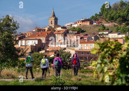 Pèlerins sur le Camino de Santiago Banque D'Images