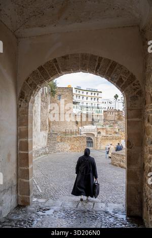 Porte de Bab el Hira dans les murs historiques Banque D'Images