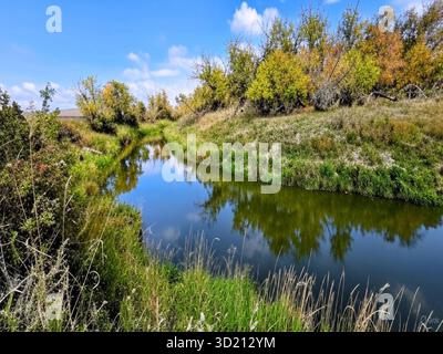 Un ruisseau d'automne serein serpente dans la vallée luxuriante de la Saskatchewan, avec un feuillage jaune éclatant reflétant dans les eaux vertes calmes au milieu des berges herbeuses. Banque D'Images