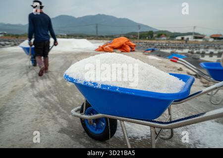 L'homme déplace le sel récolté sur chariot au champ de sel Hon Knoi dans la région d'Indochine, évaporation minérale Banque D'Images