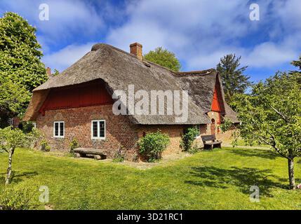 Haus Olesen im Friesenmuseum Wyk auf Foehr, Dr-Carl-Haeberlin-Friesenmuseum, Nordfriesland, Schleswig-Holstein, Allemagne, Europe Banque D'Images