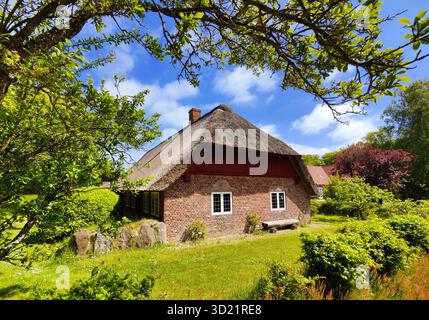 Haus Olesen im Friesenmuseum Wyk auf Foehr, Dr-Carl-Haeberlin-Friesenmuseum, Nordfriesland, Schleswig-Holstein, Allemagne, Europe Banque D'Images