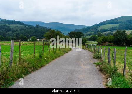 Vue panoramique sur la vallée de la rivière Saja en Cantabrie, Espagne, avec des collines verdoyantes et une route de campagne tranquille par temps nuageux Banque D'Images