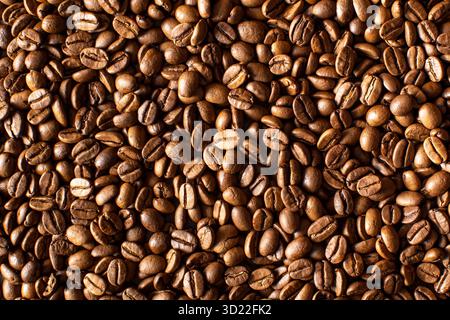 Fond de grains de café torréfiés plein cadre. Une bannière sur le thème du café. Banque D'Images