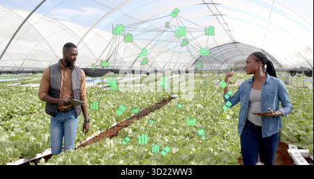 Techniciens agricoles tenant des tablettes analysant les icônes de données dans un tunnel de serre, avec des rangées de laitue hydroponique Banque D'Images