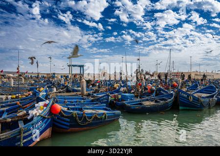 Bateaux de pêche bleus flottant dans un port animé sous un ciel vibrant avec des nuages dispersés. Essaouira, Maroc Banque D'Images