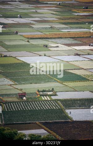 Vue aérienne de champs patchwork colorés avec des motifs géométriques distincts et des textures. Lombok, West Nusa Tenggara, Indonésie Lombok, Sembalun, Indonésie Banque D'Images