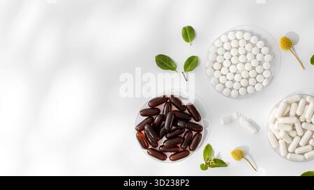 Diverses vitamines et compléments alimentaires dans de petites assiettes médicales. Médecine, médicaments. Espace de copie Banque D'Images