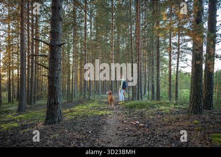 Femme revenant après le fourrage avec un panier plein de champignons debout dans la forêt regardant son chien. Banque D'Images