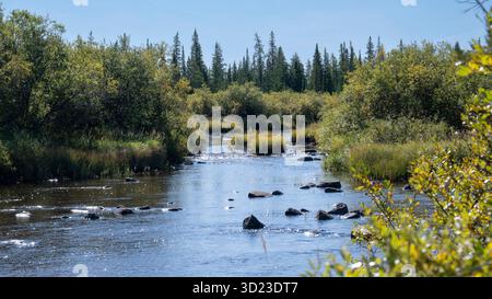Rivière sereine coulant à travers des arbres verdoyants sous un ciel bleu clair. Baie d'Hudson, Churchill, Manitoba, Canada Banque D'Images