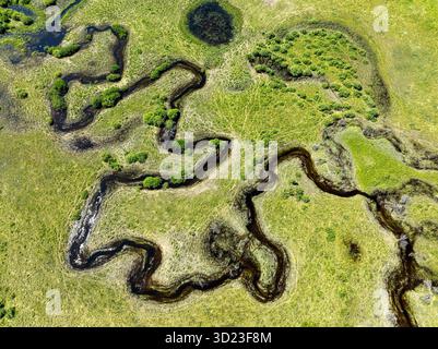 Vue aérienne d'une rivière sinueuse à travers des marais verdoyants avec des arbustes éparpillés. Ouest de Calgary, Canada Banque D'Images