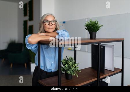 Portrait d'une avocate de cinquante ans réussie dans un bureau moderne. Concept de conseiller bancaire et d'auditeur Banque D'Images