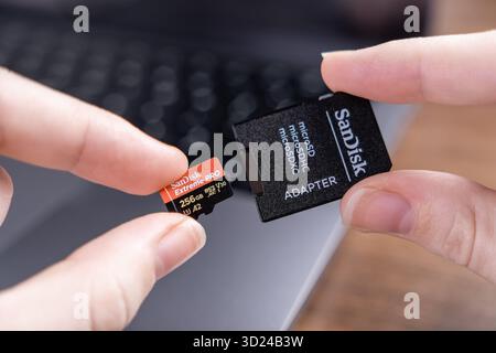 Poznan, Pologne - 18 septembre 2025 : vue de dessus détaille les doigts humains tenant une carte microSD portable et un adaptateur SD, illustrant le numérique polyvalent Banque D'Images