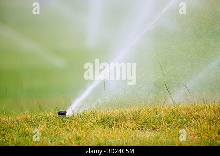 Gros plan de gicleurs arrosant la pelouse d'un parc public. Banque D'Images