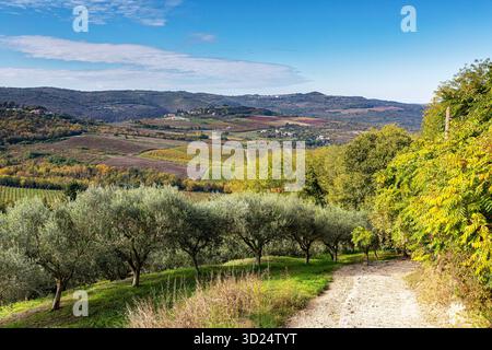 Une vue depuis la colline de Motovun Banque D'Images