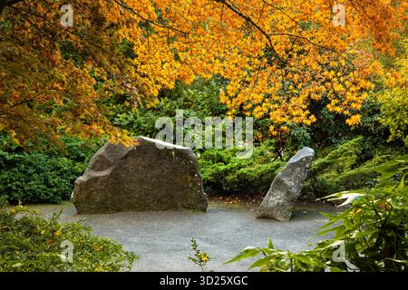 WA28686-00...WASHINGTON - couleur d'automne et deux rochers artistiquement placés aux jardins Kubota dans le sud de Seattle. Banque D'Images