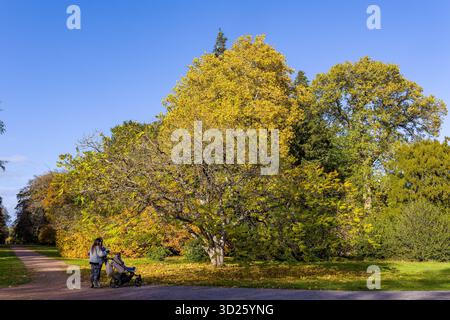 Mère et bébé profitant d'une promenade paisible dans l'arboretum de Westonbirt en automne Banque D'Images